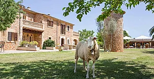 Es Quatre Cantons 004