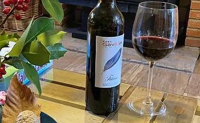 Casa de Chocolate y Las Pegueras en Cuevas Del Valle (Ávila) - Foto 18