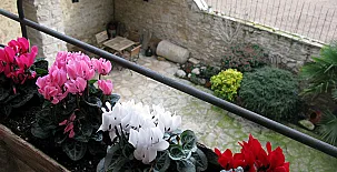 Alojamientos Rurales El Clos 0014