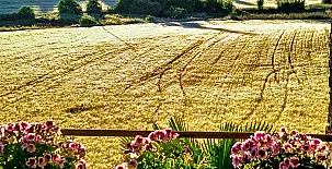 Alojamientos Rurales El Clos 0015