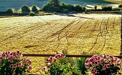 Alojamientos Rurales El Clos en Conesa (Tarragona) - Foto 15