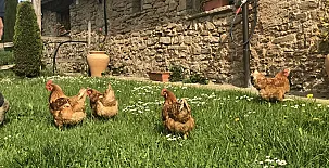 Masia Sansalvador 004