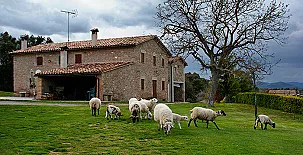 La Caseta del Coll de L´Arç 002