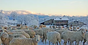 Casa Rural La Serra de Pruit 003
