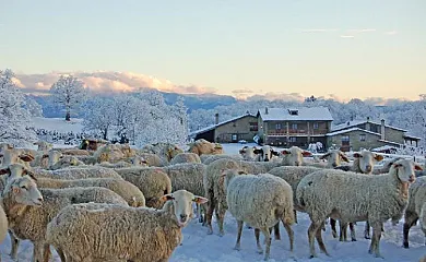 Casa Rural La Serra de Pruit en Rupit i Pruit (Barcelona) - Foto 3