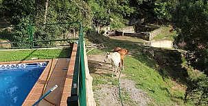 Masoveria Riambau 004