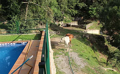 Masoveria Riambau en Santa Maria de Merlès (Barcelona) - Foto 4
