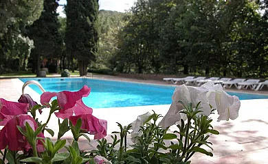 Vista Hermosa en Vallromanes (Barcelona) - Foto 5