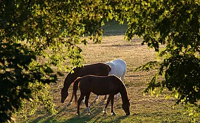 La Tría en Perafita (Barcelona) - Foto 3