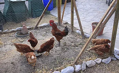 Molí del Casó en Bagà (Barcelona) - Foto 2