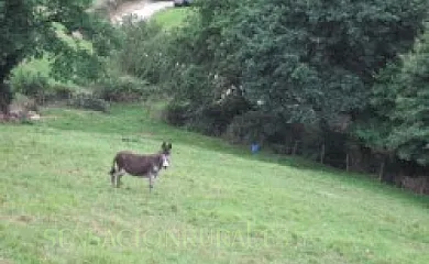 Arzenea I y II en Ituren (Navarra) - Foto 18
