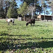 Apartamentos Rurales Las Maravillas 001