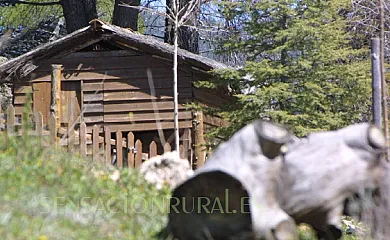 Apartamentos Rurales Las Maravillas en Beas de Segura (Jaén) - Foto 18