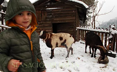 Apartamentos Rurales Las Maravillas en Beas de Segura (Jaén) - Foto 21