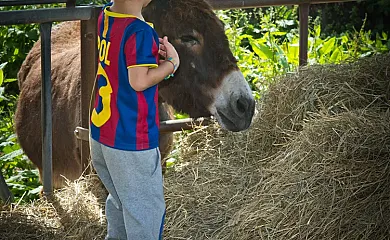 Agroturisme Codinach en Sant Agusti de Lluçanes (Barcelona) - Foto 3