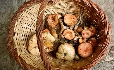 Mas El Francàs Vell en Sant Agusti de Lluçanes (Barcelona) - Foto 4