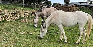 Masia Brugarolas 002