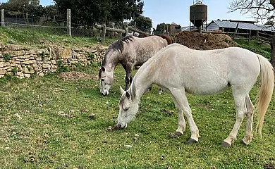 Masia Brugarolas en Castellterçol (Barcelona) - Foto 2