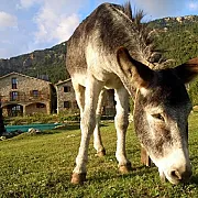 Casa Gran de Puigventós 001