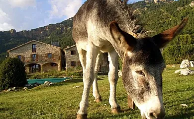 Masía Puigventós en Castellar Del Riu (Barcelona) - Foto 6