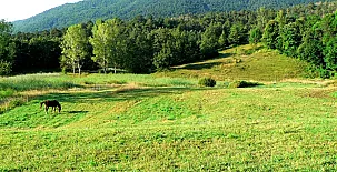 Casanova de Les Garrigues 002