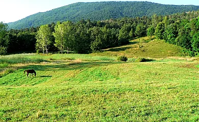 Casanova de Les Garrigues en Cercs (Barcelona) - Foto 2