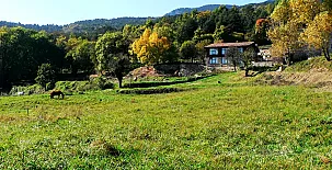 Casanova de Les Garrigues 003