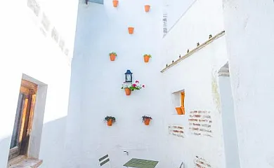 Clara Domus en Cantillana (Sevilla) - Foto 12