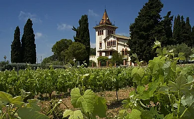 Clos La Plana en Sant Pere de Ribes (Barcelona) - Foto 2
