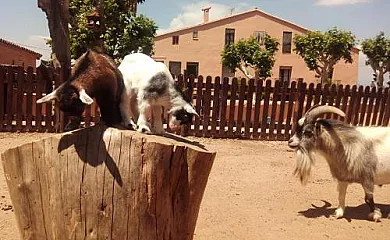 Can Sala en Montornès Del Vallès (Barcelona) - Foto 2