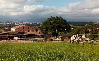 Can Sala en Montornès Del Vallès (Barcelona) - Foto 1