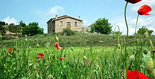 Puigdesala 003