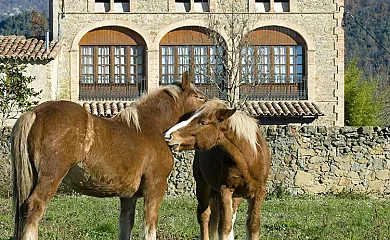 El Pla de Besora en Santa Maria de Besora (Barcelona) - Foto 2