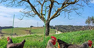 Masía Can Felip 002