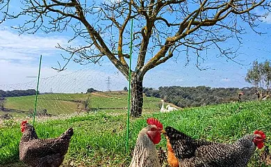 Masía Can Felip en Llinars Del Vallès (Barcelona) - Foto 2