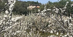 Casa Rural Cerro 0021