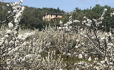 Casa Rural Cerro en Jaraiz de la Vera (Cáceres) - Foto 21