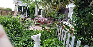 Les casetes de Camarles 0028