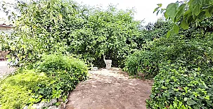 Les casetes de Camarles 0049