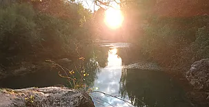 Casa Arroyo Colmenar 0042