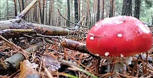 Casa Rural Rosalía 0016