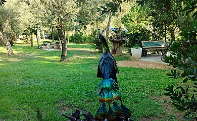 Casa Rural Mariona en Santa Cristina D´Aro (Girona) - Foto 4