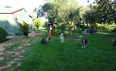 Casa Rural Mariona en Santa Cristina D´Aro (Girona) - Foto 1