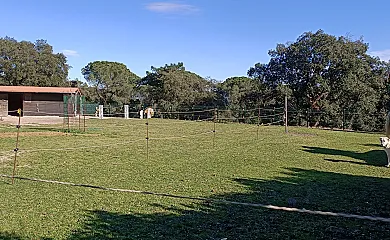 Casa Rural Mariona en Santa Cristina D´Aro (Girona) - Foto 8