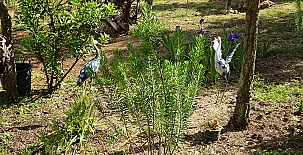 Casa Rural Mariona 0010