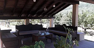 El Cerezal del Jerte 002