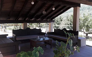 El Cerezal del Jerte en Navaconcejo (Cáceres) - Foto 2