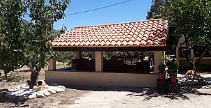 El Cerezal del Jerte 006