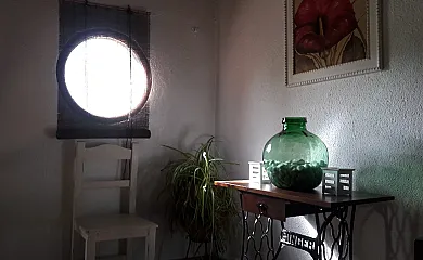 El Cerezal del Jerte en Navaconcejo (Cáceres) - Foto 5