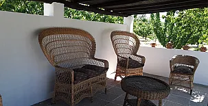 El Cerezal del Jerte 008